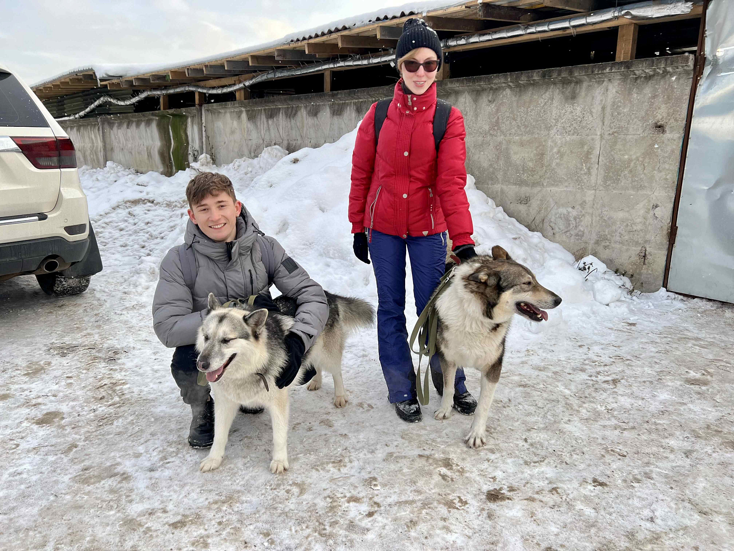 Прогулка с собачками