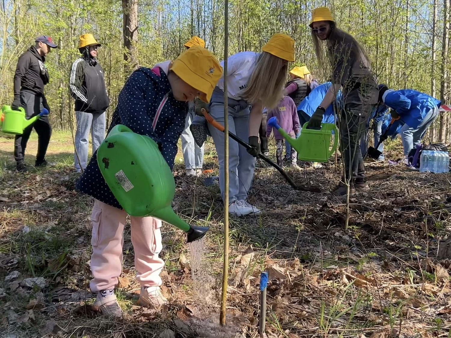 Ежегодная посадка деревьев