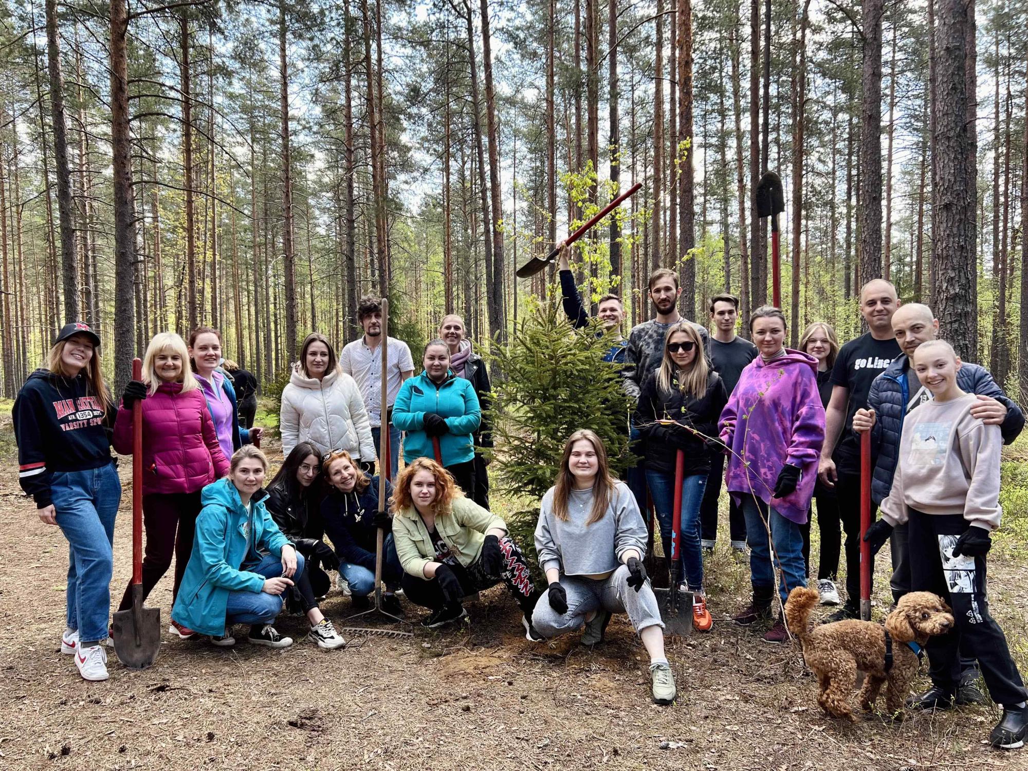 Эко-весна в Эльба Мебель Эко-весна в Эльба Мебель